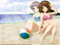 beach - anime-girls photo