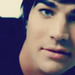 Adam Lambert♥ - stelena-fangirls icon