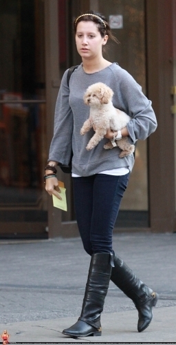 Ashley Tisdale Out for a stroll w/ Maui