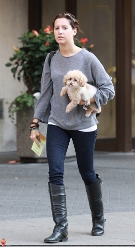 Ashley Tisdale Out for a stroll w/ Maui