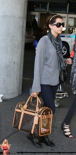Ashley Tisdale arriving @ the airport in Toronto