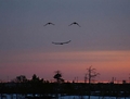 God's nature smiling :) - god-the-creator photo