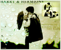 Harmony <3' - harry-and-hermione fan art