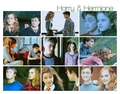 Harmony - harry-and-hermione fan art