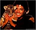 Mike with Tiger! - michael-jackson photo
