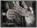 New Eclipse Promo Images - From Puzzle Game   - twilight-series photo