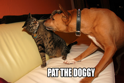  Pat the doggy...lol