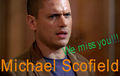 Prison Break - season 5 - Michael Scofield - prison-break fan art
