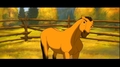 Spirit Stallion of the Cimarron - spirit-stallion-of-the-cimarron screencap