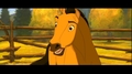 Spirit Stallion of the Cimarron - spirit-stallion-of-the-cimarron screencap