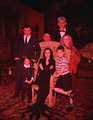 The Addams Family - addams-family photo
