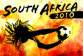 FIFA World Cup South Africa 2010  - fifa-world-cup-south-africa-2010 photo