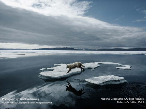  National Geographic fotografias