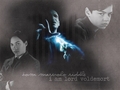 Voldemort Wallpaper - harry-potter photo