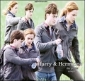 harmony loves - harry-and-hermione fan art