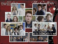 wallpapers by daydream - twilight-series photo