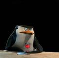 Care to chat, hun? - penguins-of-madagascar fan art