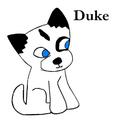 Duke<33 - total-drama-island fan art