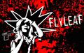 Flyleaf - Lacey Mosley - Wallpaper - flyleaf fan art