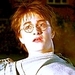 Harry Potter - harry-james-potter icon