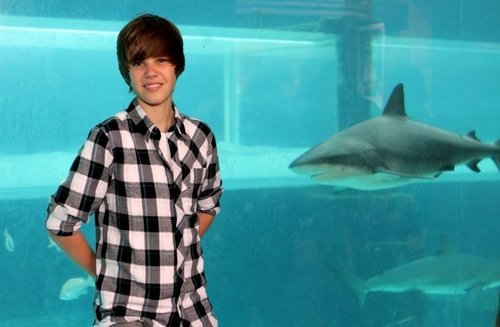 Jusin Bieber with shark