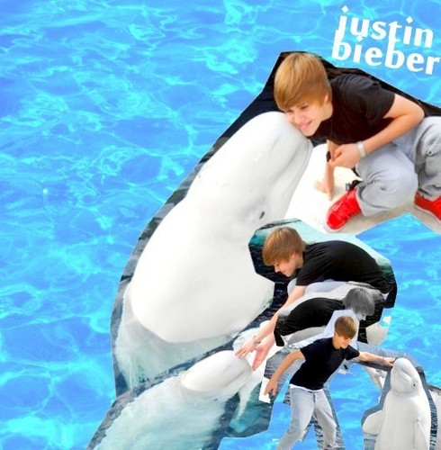  Justin's Biggest Fan-A Buluga Whale-LOL