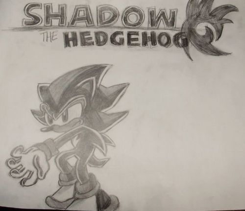  Shadow the Hedgehog
