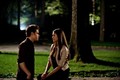 Stefan and Elena - the-vampire-diaries-couples photo