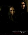 TVD-new-poster-blank-the-vampire-diaries-season-2-2x01-tv-show-10227824-800-1011.jpg - the-vampire-diaries photo