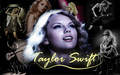 Taylor Swift Wallpaper - taylor-swift wallpaper