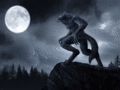 Werewolf - werewolves photo