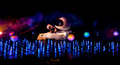 World of Color- WALL-E & EVE Define Dancing - disney photo