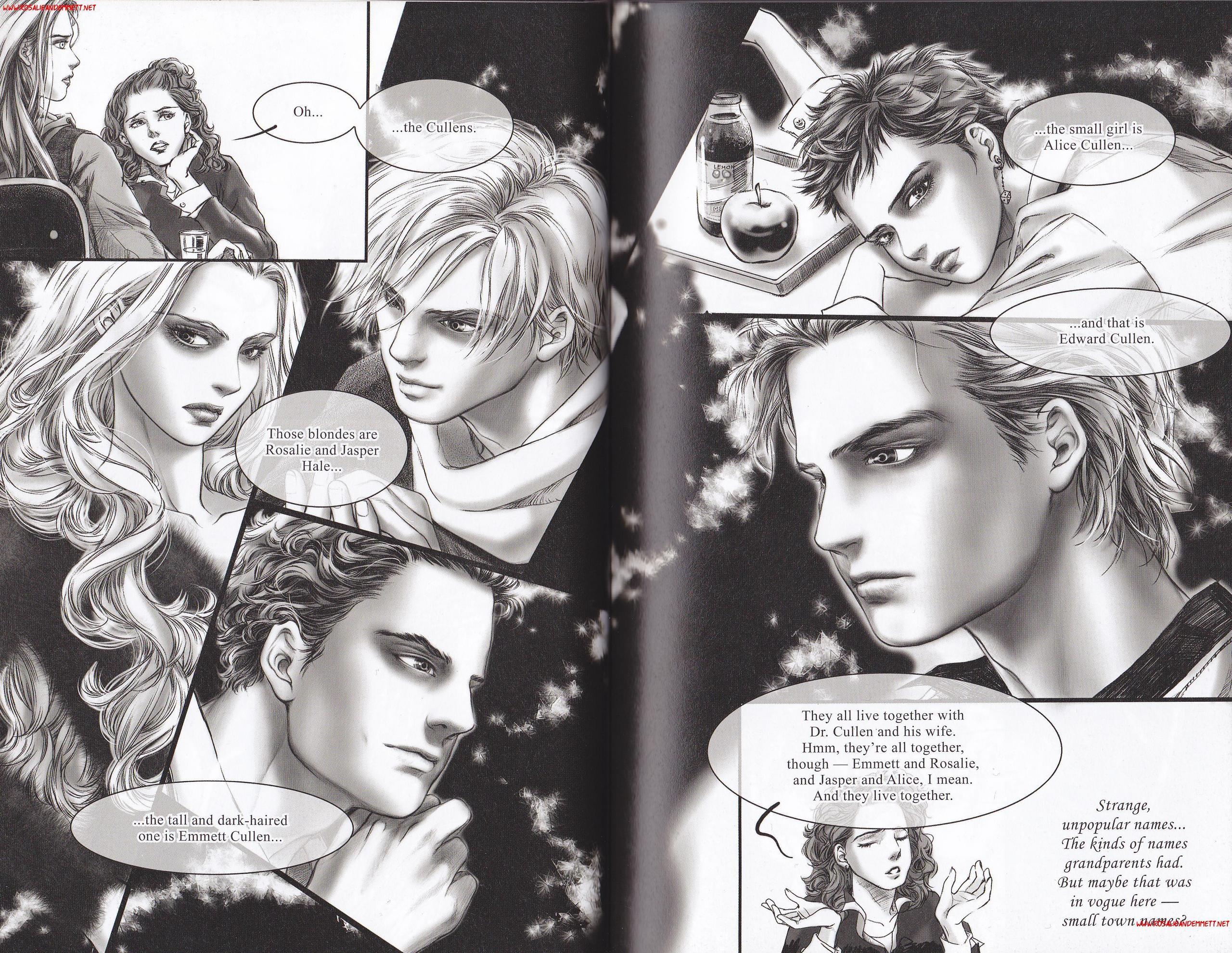 Emmett and Rosalie in 'Twilight Graphic Novel: Volume 1' - Emmett
