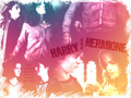 Harmony. - harry-and-hermione fan art