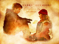 Harmony. - harry-and-hermione fan art