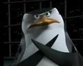 penguins-of-madagascar - Ready to fight screencap