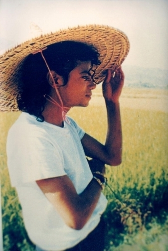 Das Beste von Michael Jackson