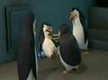 penguins-of-madagascar - The team taking care of Skippa screencap