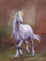Guided By The Stars - unicorns photo
