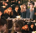 harry & hermione - harry-and-hermione fan art