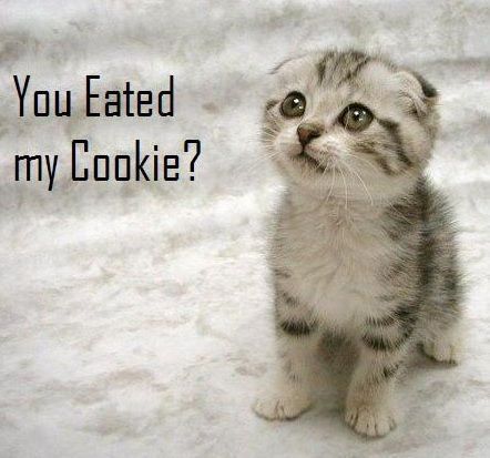  당신 eated my cookie ?