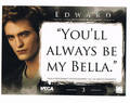 *NEW* Trading cards  - twilight-series photo