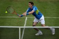 Andy Murray @ the Aegon British Tennis Series - tennis photo