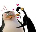 Blush! - penguins-of-madagascar fan art