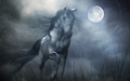 Fantasy Horse - dustfingerlover wallpaper