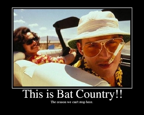  This is Bat Country!