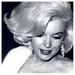 Marilyn Monroe  - marilyn-monroe icon