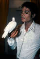 Michael I love you!!!!!!!!!!!!!!! - michael-jackson photo