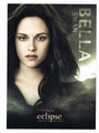 NEW Eclipse Trading Cards - Rob/Kristen as Edward/Bella - robert-pattinson-and-kristen-stewart photo