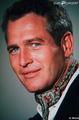 Paul Newman  - paul-newman photo